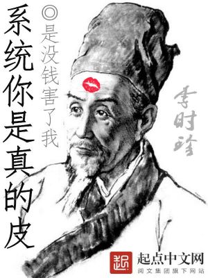 ϵͳ�������Ƥ