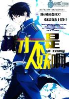 �ҲŲ���������