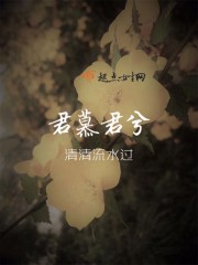 ��Ľ����