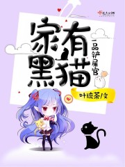 家有黑猫,一品铲屎官
