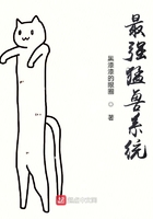 ʳ�������˵�����