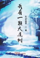 ����һ�ô����