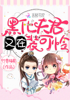 �ڻ��������װ����