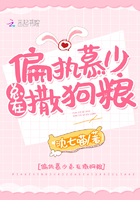 ƫִĽ������������