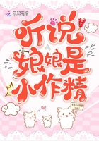 ��˵������С����