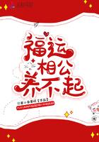 �����๫������