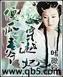 傻瓜王爷穿越妃