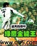 绿茵全能王